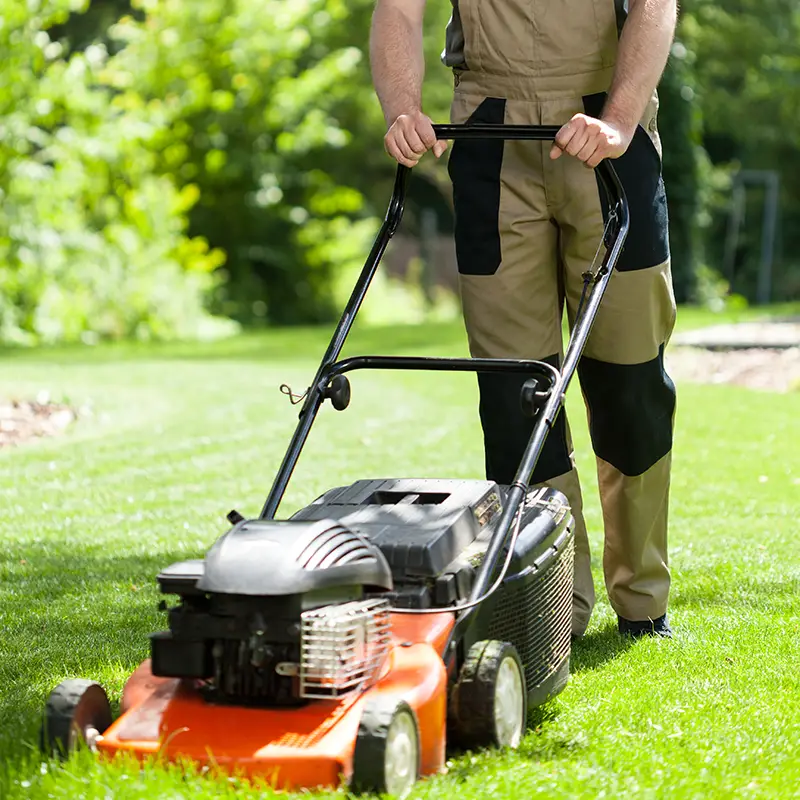entretien-jardin-tonte-pelouse-particulier-myeasyhome-Tarn
